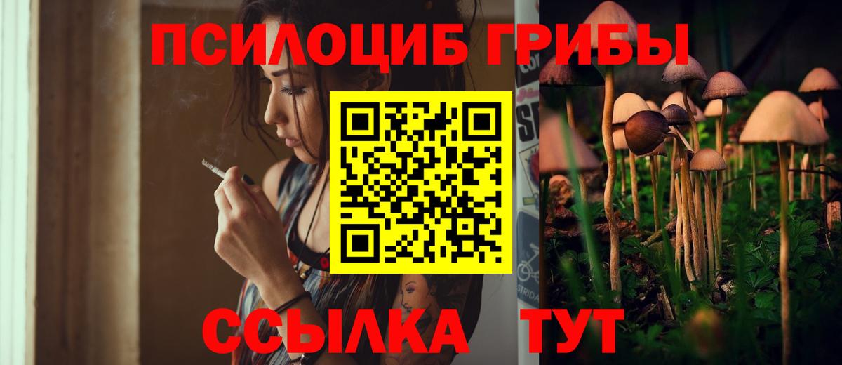 Галлюциногенные грибы GOLDEN TEACHER  Галлюциногенные грибы Cubensis  Вход с VPN  Ярцево 