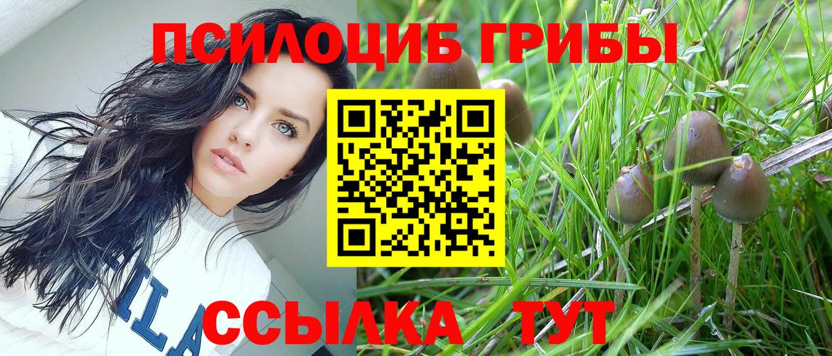 Галлюциногенные грибы Cubensis Ярцево